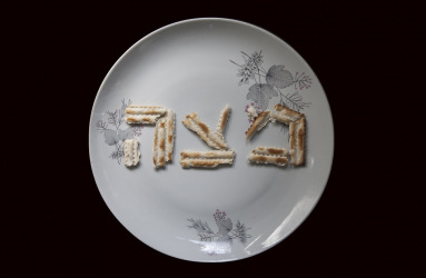 אופס! נסו לרענן את הדף :)