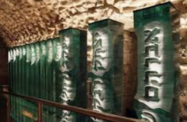 אופס! נסו לרענן את הדף :)