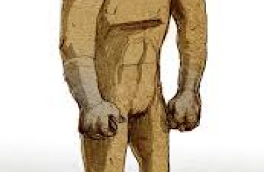 אופס! נסו לרענן את הדף :)