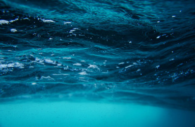 לשחות ללא מים : כשהשדה מתפרק, פעמיים || טור מיקרו-סקופ אופס! נסו לרענן את הדף :)