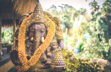 בהודו יש גם הודים: על האפשרות לעשות אנתרופולוגיה של האחר בשדה || טור מיקרוסקופ אופס! נסו לרענן את הדף :)