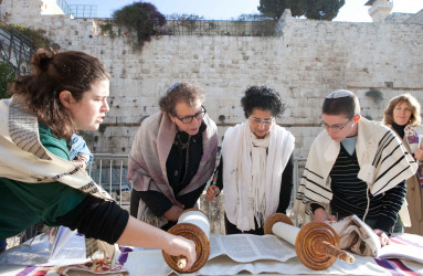 אופס! נסו לרענן את הדף :)