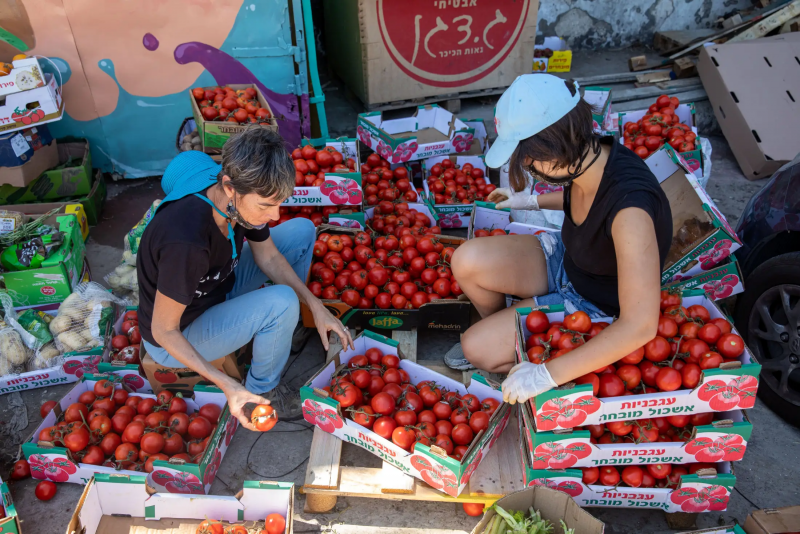 בוררות ירקות שנזרקו בירושלים