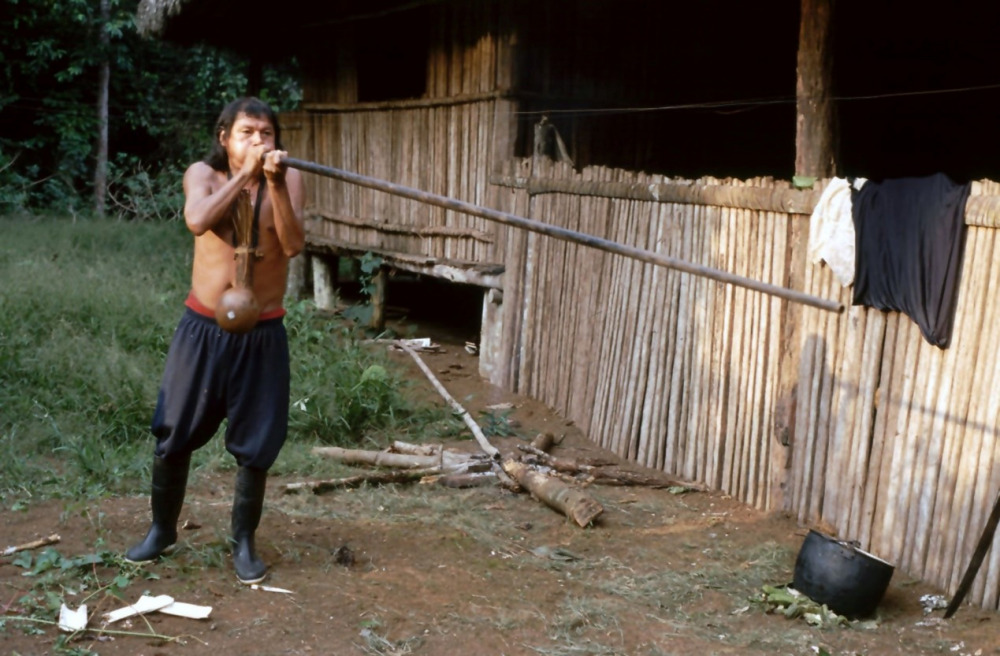 בן לעם האצ'ואר עם רובה נשיפה באמזונס של אקוודור (צילום: Enrique Amigo, מתוך Wikimedia commons )